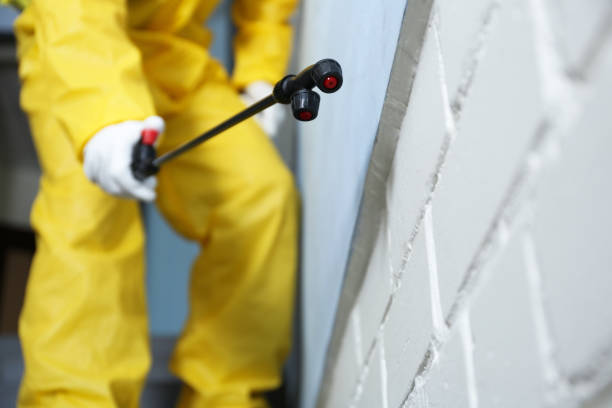 Best Fumigation Services  in Antigo, WI